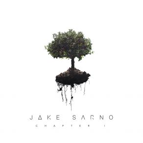 Download track Red Dancer Jake Sarno