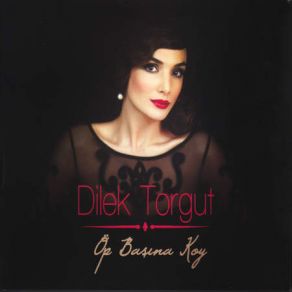 Download track Hiç Sevmedim Ki Dilek Torgut