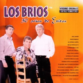 Download track Porque Estas Enamorada LOS BRIOS