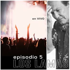 Download track Una Puerta Sin Luz (En Vivo) Los Lamas