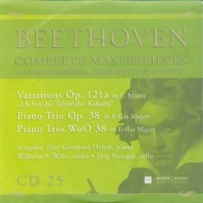 Download track IV. Andante Con Variazioni Ludwig Van Beethoven