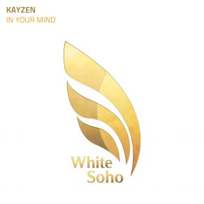 Download track In Your Mind (Radio Edit) Kayzen