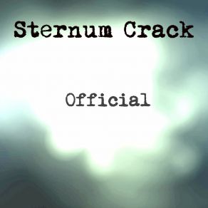 Download track Into The New World Sternum Crack