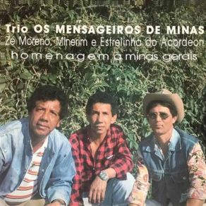 Download track Cheio De Saudade Trio Os Mensageiros De Minas