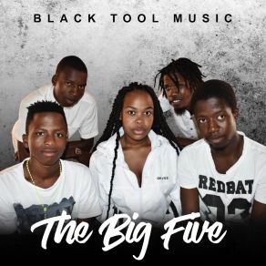 Download track Umkhuleko Wentombendala Black Tool Music