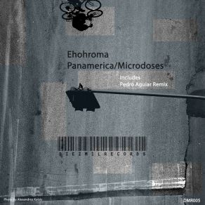 Download track Panamerica Ehohroma