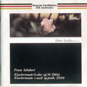 Download track Piano Sonata No. 19 In C Minor, D. 958, 2. Adagio Dieter Zechlin