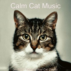 Download track Debonair Ambiance For Relaxing Your Cat Calm Cat Music