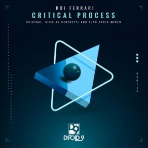 Download track Critical Process (Nicolas Benedetti Remix) Roi Ferrari