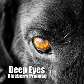 Download track Deep Eyes Blueberry Promise