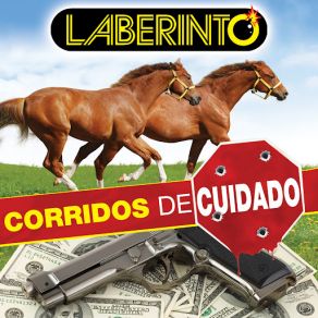 Download track El Nayarita Laberinto