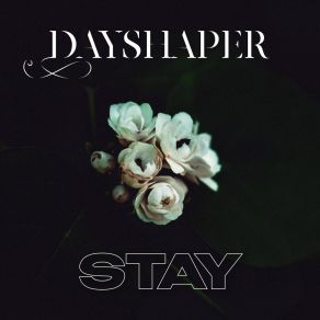 Download track Damage Me Dayshaper