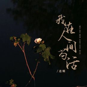 Download track 我在人间苟活 (DJ彭锐版伴奏) 迷糊