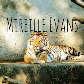 Download track Slower Please Mireille Evans