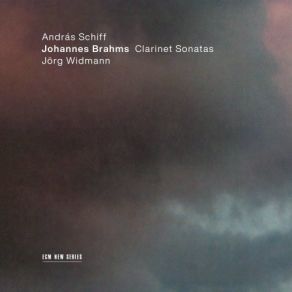 Download track Sonata For Clarinet And Piano No. 2 In E Flat Major, Op. 120 No. 2 3. Andante Con Moto - Allegro András Schiff, Jörg Widmann