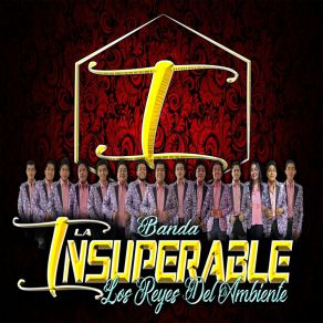 Download track Te VI Venir Banda La Insuperable