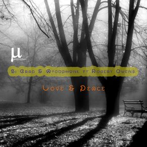 Download track Love & Peace (Bobby Deep Remix) Robert OwensBobby Deep