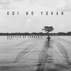 Download track Vondelpark Nights Koi No Yokan