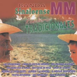 Download track Dos Palomas Al Volar Banda Sinaloense MM