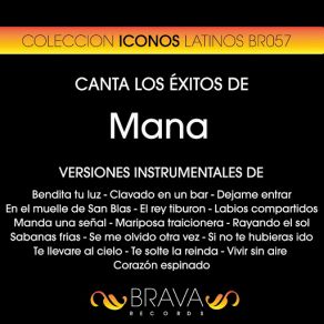 Download track Dejame Entrar (Instrumental Version) [Originally Performed By Mana] Brava HitMakers