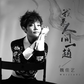 Download track 我来人间一趟 魏佳艺