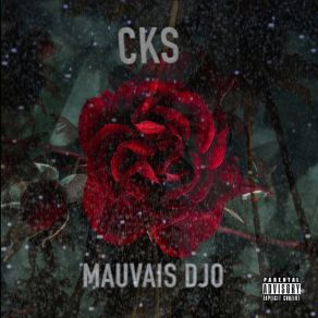 Download track Mauvais Djo (Acousitc) CKS