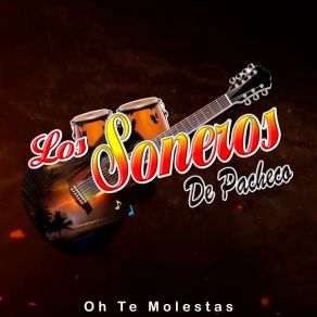 Download track Mix Huaynos 02 Los Soneros De Pacheco