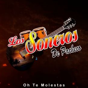 Download track Mix Cholo Berrocal Los Soneros De Pacheco