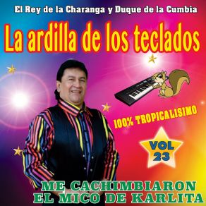 Download track La Cachetada La Ardilla De Los Teclados