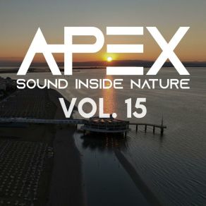 Download track The Man From The Space Apex Sound Inside Nature