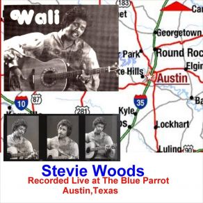 Download track Use Me (Live) Stevie Woods