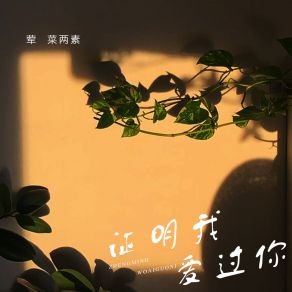 Download track 证明我爱过你 (伴奏) 荤菜两素