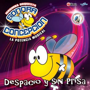 Download track El Coco Marimba Orquesta Sonora Concepción