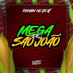 Download track Achei Que Era Pagode Ronnin No BeatWhanted Fluxos