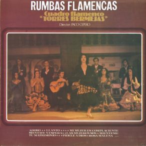 Download track Todo Tiene Su Fin Cuadro Flamenco Torres Bermejas