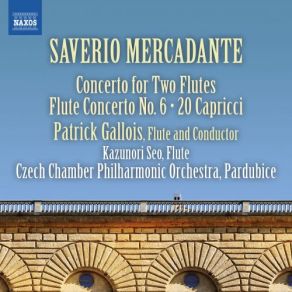 Download track Introduzione, Largo E Tema Con Variazioni: IIIc. Var. 2 Patrick Gallois, The Czech Chamber Philharmonic Orchestra Pardubice