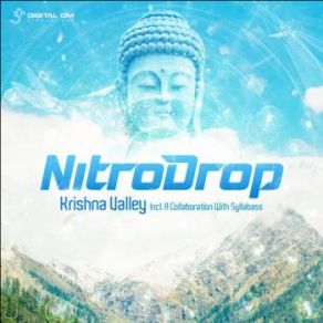 Download track Tripping On Acid Nitrodrop