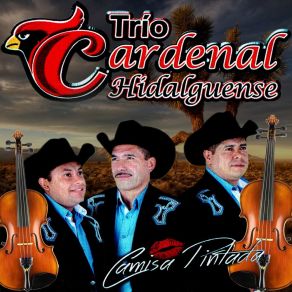 Download track Huapango Del Chivo Trio Cardenal Hidalguense