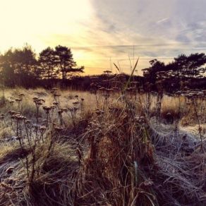 Download track Right In Time Ane Brun