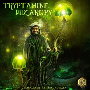 Download track Shamanic Wisdom Psychoz