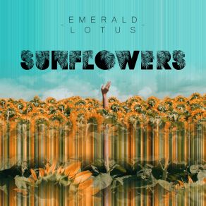 Download track Sunflowers Emerald Lotus