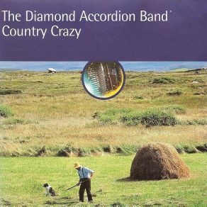 Download track Pretty Brown Eyes Medley - Pretty Brown Eyes / Welcome To My World / Distant Drums The Diamond Accordion Band