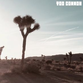 Download track Joshua Tree Too Common