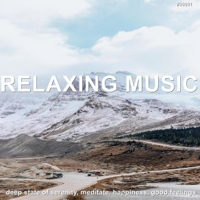 Download track Joy Relaxing Spa Music