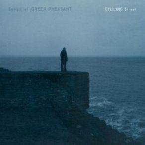 Download track Fires P. G. R. Songs Of Green Pheasant