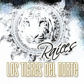 Download track Rumbo Al Sur Los Tigres Del Norte