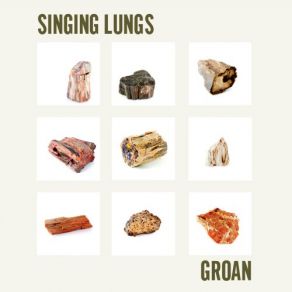 Download track Disappearing Act Singing Lungs