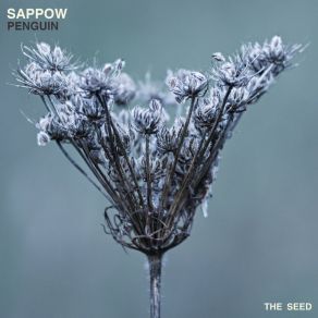 Download track Penguin Sappow