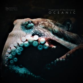 Download track Kraken Textures (Original Mix) Fragments Of The Universe