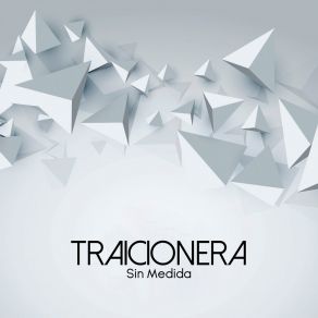 Download track Traicionera (Instrumental Versión) Sin Medida